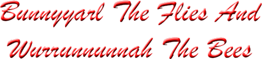 Bunnyyarl The Flies And Wurrunnunnah The Bees