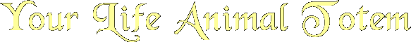 Your Life Animal Totem