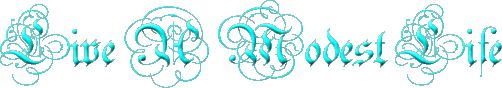 Live A Modest Life