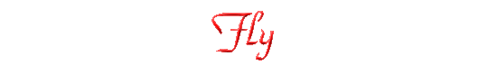 Fly