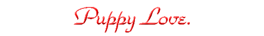 Puppy Love