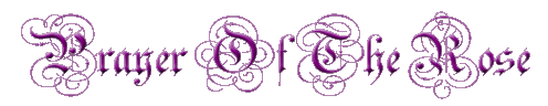 Prayer Of The Rose