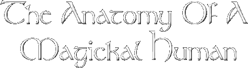 The Anatomy Of A Magickal Human